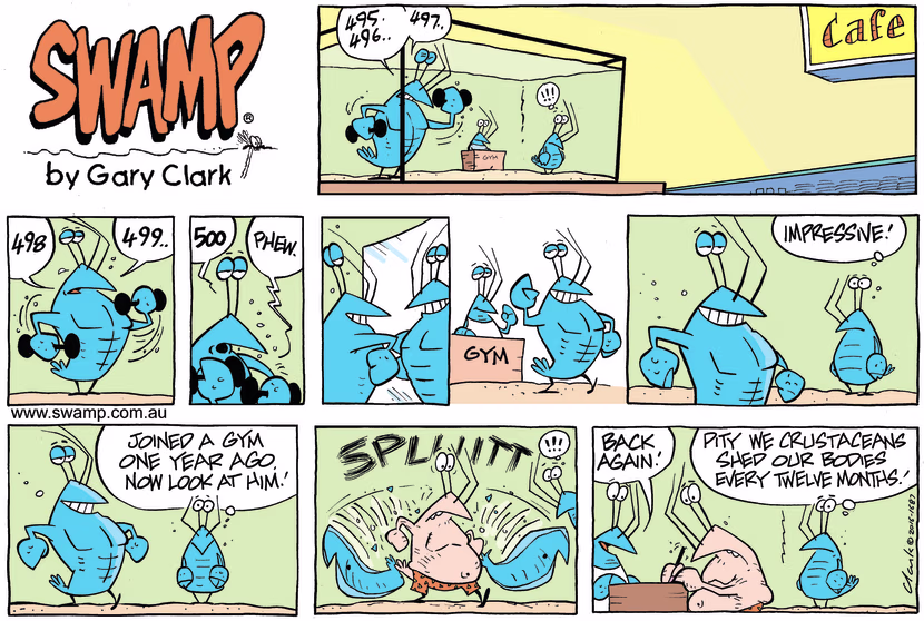 Bob is admiring the muscle tone of another crayfish working out at the gym until he sheds his exoskeleton. Swamp Cartoon - Admiring Six PackJuly 9, 2023